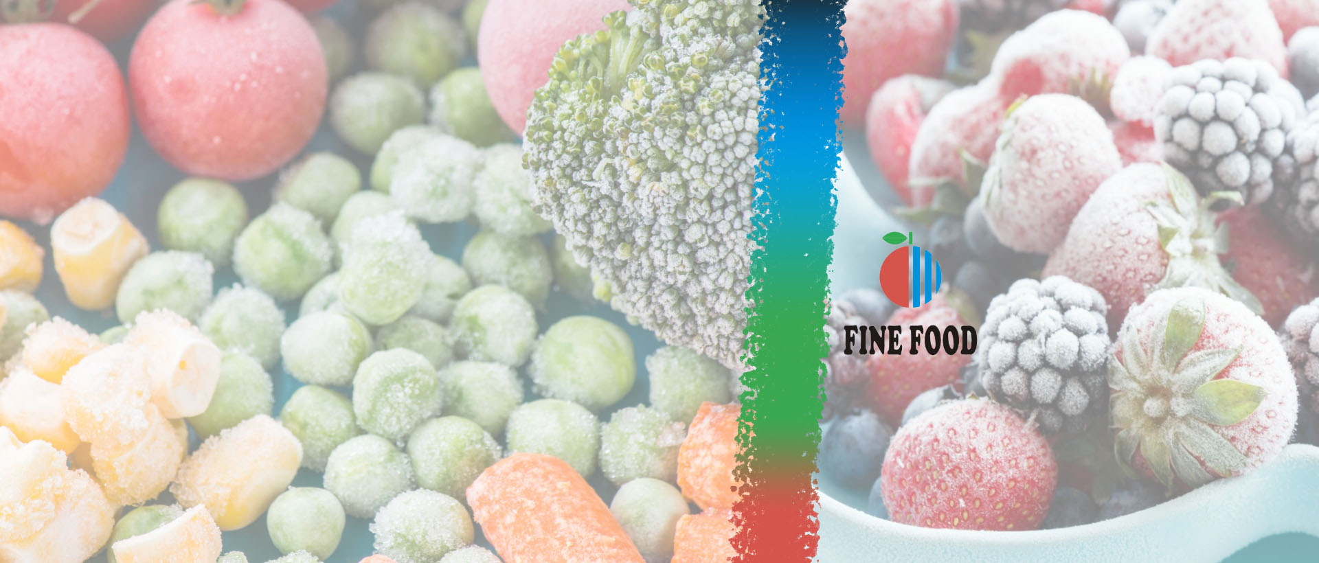 dondurulmus-urunler-fine-food_1